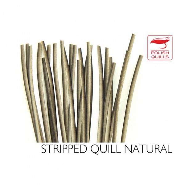 Hand Stripped Peacock Quills